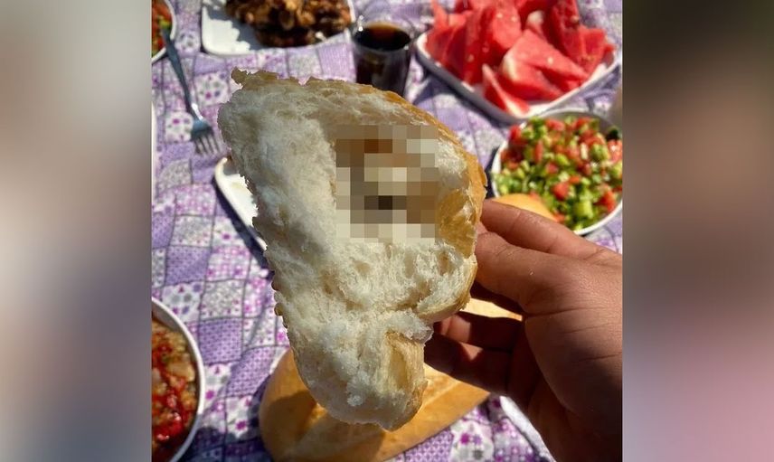 Piknik yapmak isteyen aile hayatının şokunu yaşadı! Ekmeğin içinden çıkan fare mide bulandırdı ‘Artık ekmek yemiyorum’