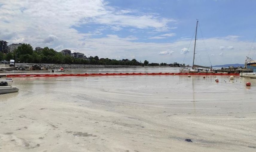 Korkutan Görüntü Caddebostan'dan Geldi! Müsilaj Arttı