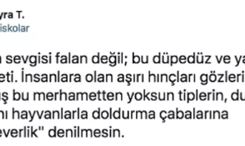 Köpekten Kaçarken Kamyon Çarpıp Hayatını Kaybetti: Ardından Akıl Almaz Paylaşımlar Yapıldı!