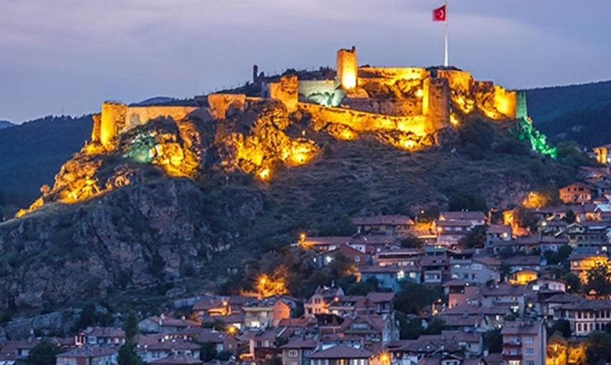 81 - Muş