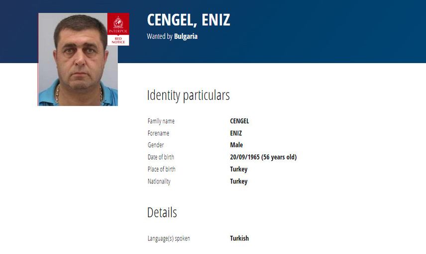 ENİZ ÇENGEL
