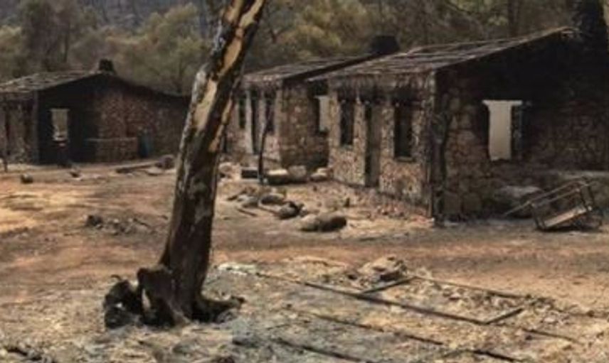 Mandıra Filozofu'nun Çekildiği Bölge Küle Döndü!