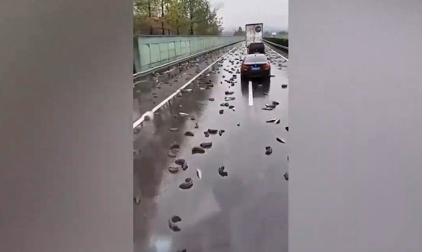 Çin'de korkutan görüntü! Solucan yağmurunun nedeni belli oldu