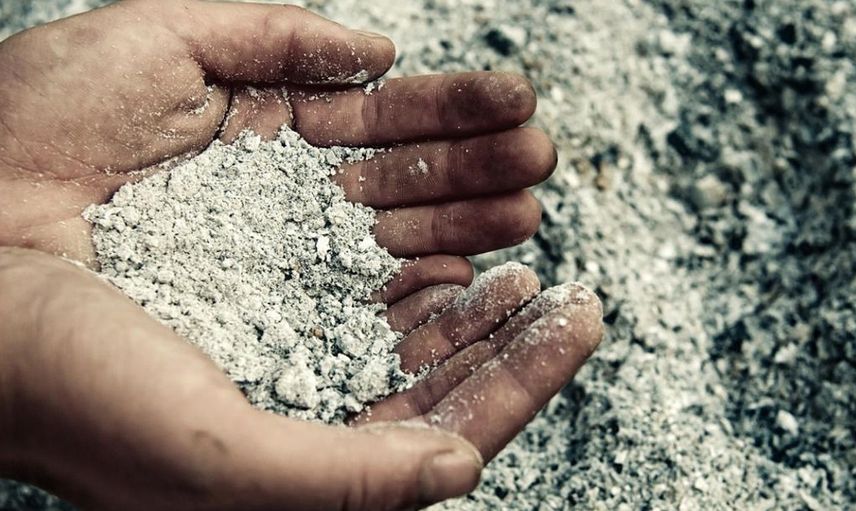 İngiltere'de iki kardeş babalarını yedi! Ülke ayağa kalktı