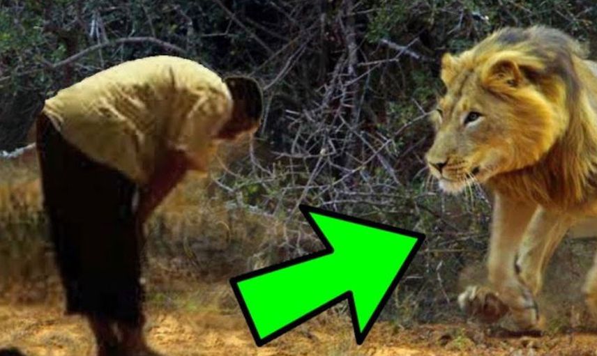 Aslan namaz kılan kadına bakın ne yapıyor?