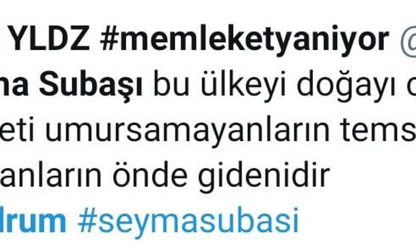 Şeyma Subaşı Bodrum Yanarken Teknede Fotoğraf Çektirmesi Sosyal Medyadan Tepki Çekti