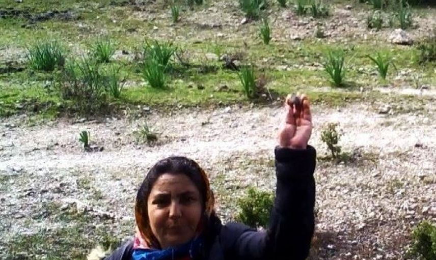 Fotokapana Yakalandı Kimse Yaptığına Anlam Veremedi!
