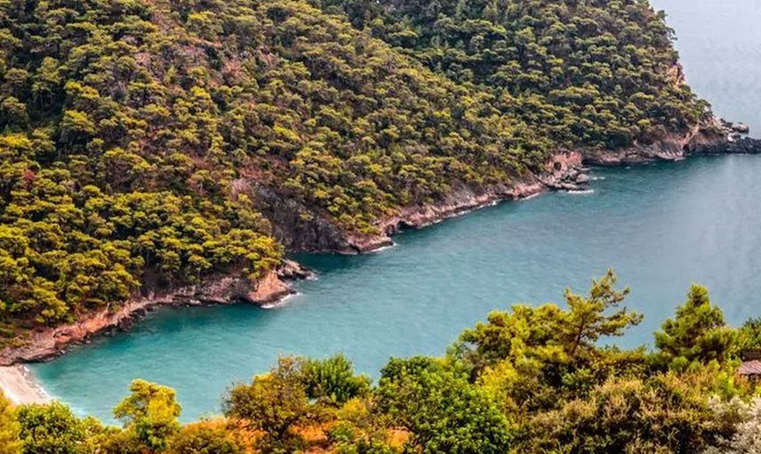 1770 numaralı mezarın gizemi çözüldü! Kimsesizler mezarlığındaki Erdal Yenisoy'un 200 milyon liralık arazisi ve bankadaki mal varlığı akıllara durgunluk verdi...