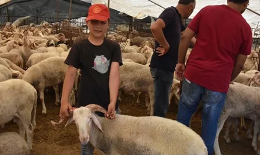 2021 Kurban Fiyatları Ne Kadar Oldu?