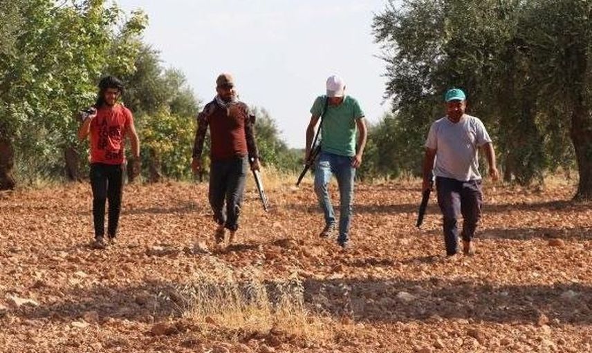 Antep Fıstığı İçin Tüfekle Nöbet Tutuyorlar