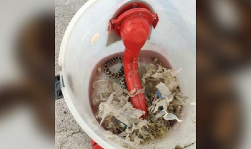 Kayseri'de temizlik yapmak isteyen kadın hayatının şokunu yaşadı