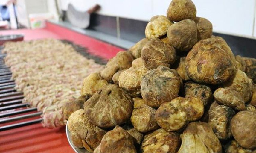 Şanlıurfa’da Keme Mantarını Bulan Köşeyi Dönüyor