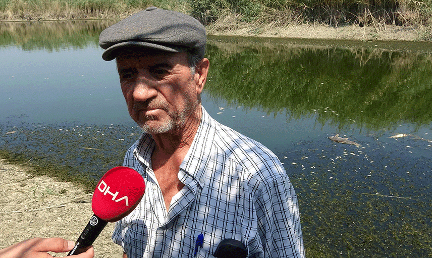 Büyük Menderes Nehri'ndeki Kuraklık Balıkların Ölümüne Neden Oldu