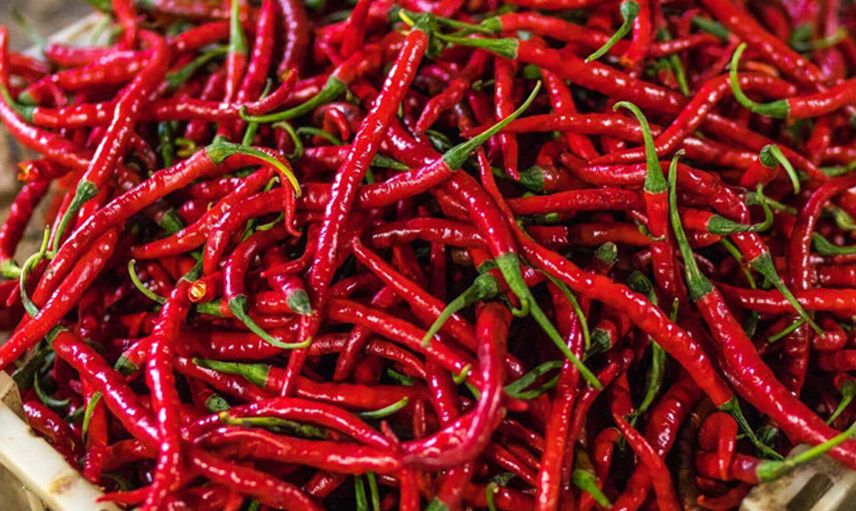 Acı Biber