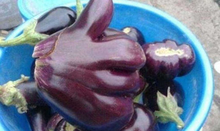 Devasa Boyuta Ulaşıp Görenleri Hayrete Düşüren Meyve ve Sebzeler
