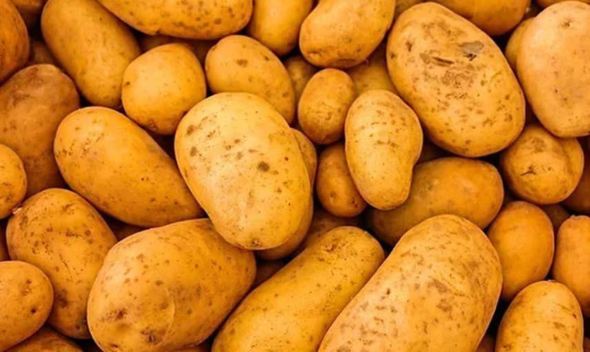 PATATES