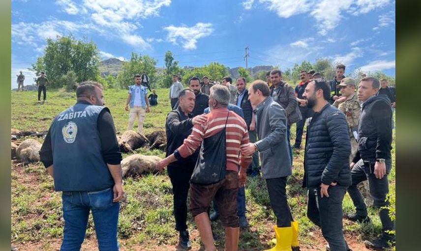 Kaşla göz arasında koyun sürüsü telef oldu çoban olanlara anlam veremedi hayatının şokunu yaşadı