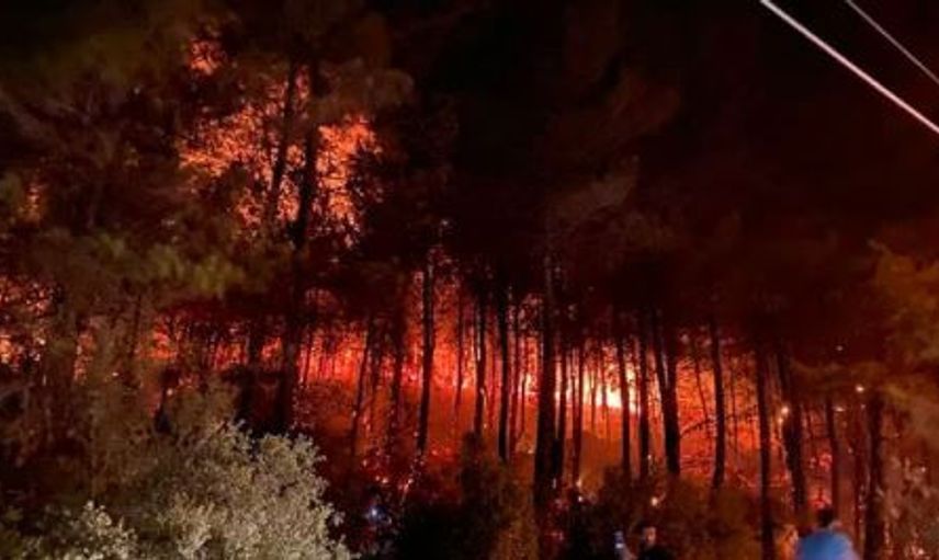 Orman Yangınları İçin Yardıma Giden Ünlüler