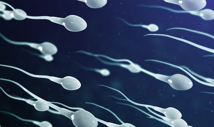 Sperm bankası nedir, Türkiye'de neden yasak?