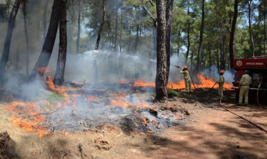 Antalya'da Meydana Gelen Orman Yangınlarında 80 Dekarlık Alan Küle Döndü
