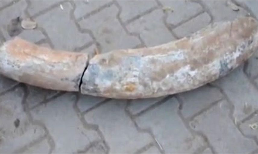 Nevşehir'de tarla sürerken buldu, parçaları birleştirdiğinde ne olduğu ortaya çıktı! Tam 1700 yıllık! 