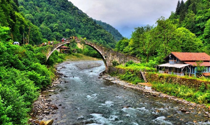 Rize