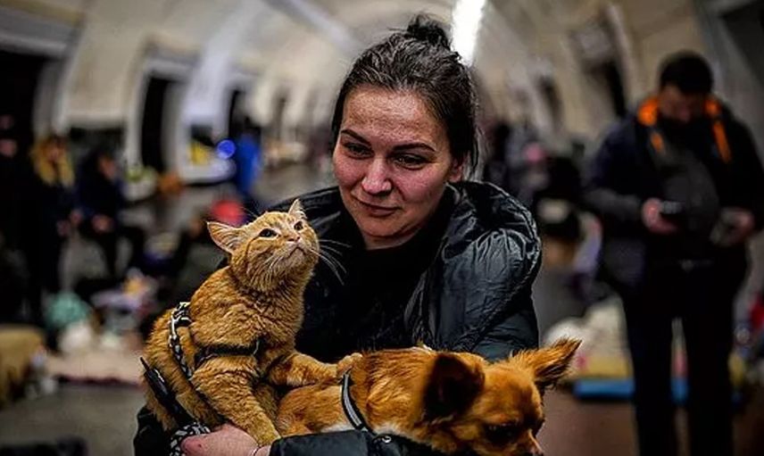 Rusya ve Ukrayna savaşını fotoğraflayan Türk gazetecinin hafızalara kazınan 11 karesi