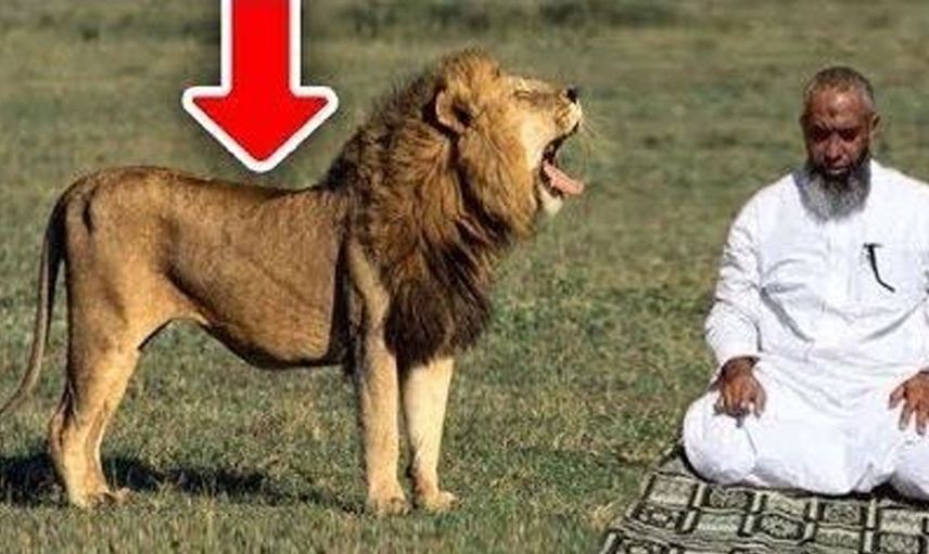 Aslan namaz kılan kadına bakın ne yapıyor?