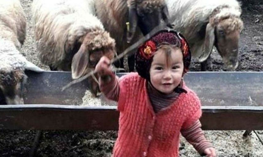 Müslüme Yağal cinayetinde yeni gelişme! Dede Yağal'dan itiraf geldi 'Gelinimle cinsel ilişkim...'
