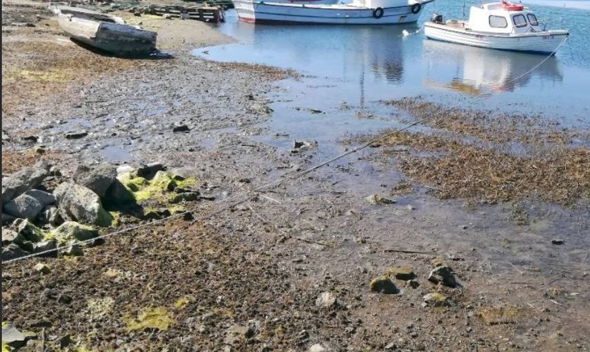 Marmara Denizi'ndeki Çekilmeler Deprem Belirtisi mi?