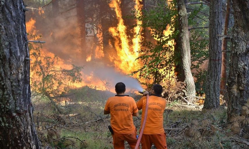 Orman Yangını Felaketinden Etkilenen Bölgelere Dev Destek