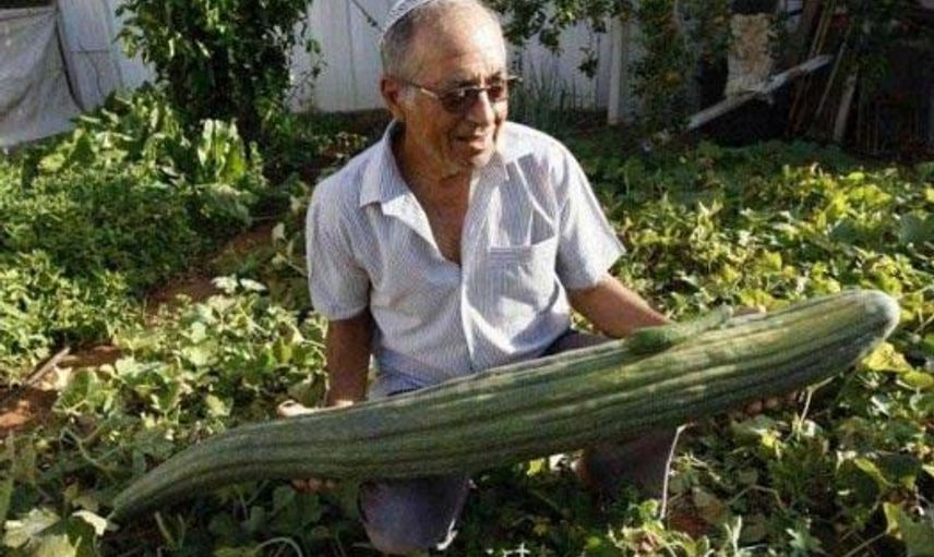 Devasa Boyuta Ulaşıp Görenleri Hayrete Düşüren Meyve ve Sebzeler