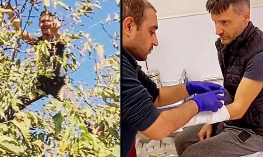 Müge Anlı'nın can arkadaşı Sinan Özen 6 metre yükseklikteki ağaçtan düştü apar topar hastaneye kaldırıldı