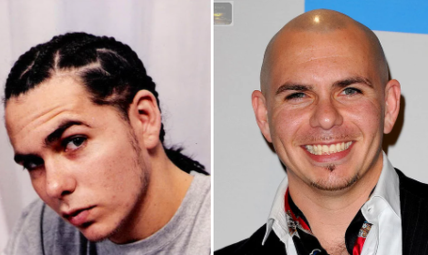 Pitbull