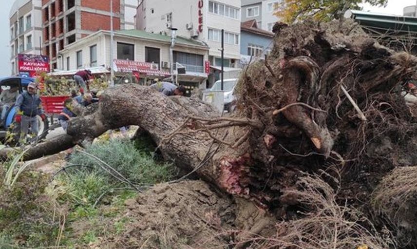Lodosun Etkili Olduğu Bölgelerden Olağanüstü Görüntüler!