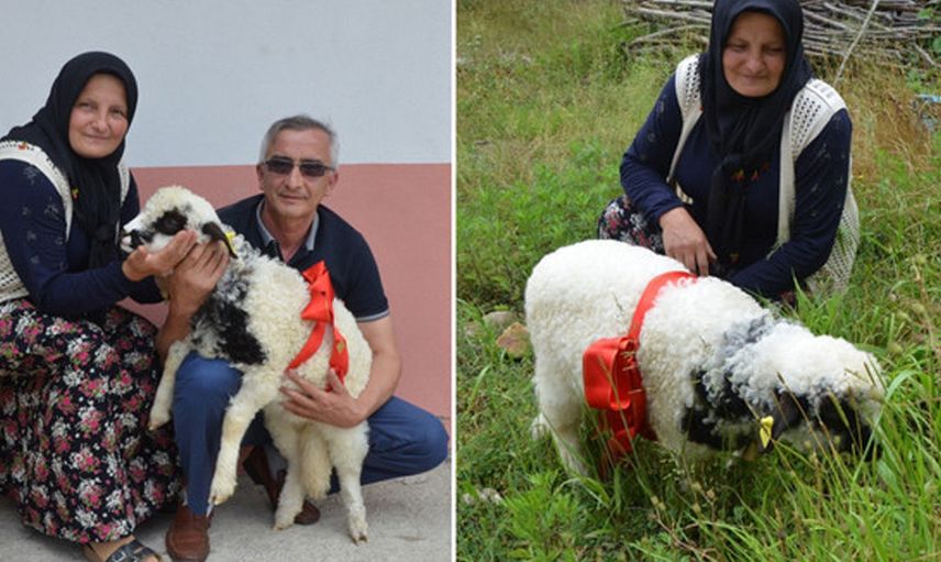 Nereye giderse yanında götürüyor 