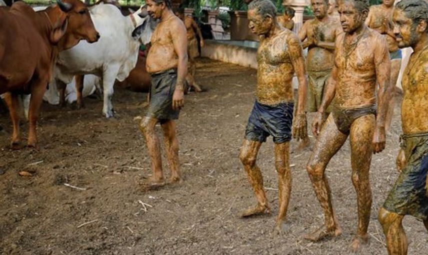 Hindistan'da Halk Kovid-19'a Karşı Tekrar Vücuduna İnek Dışkısı Sürmeye Başladı!