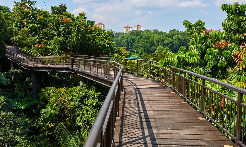 Singapur