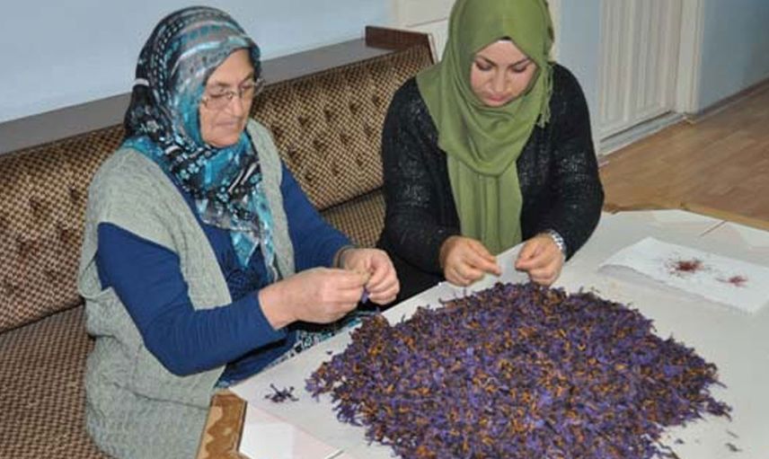 Babası izin vermemesine rağmen başladı büyük başarı elde etti! Gramı 100 lira
