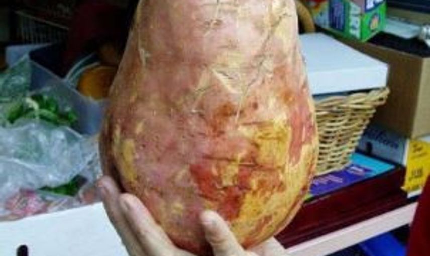 Devasa Boyuta Ulaşıp Görenleri Hayrete Düşüren Meyve ve Sebzeler