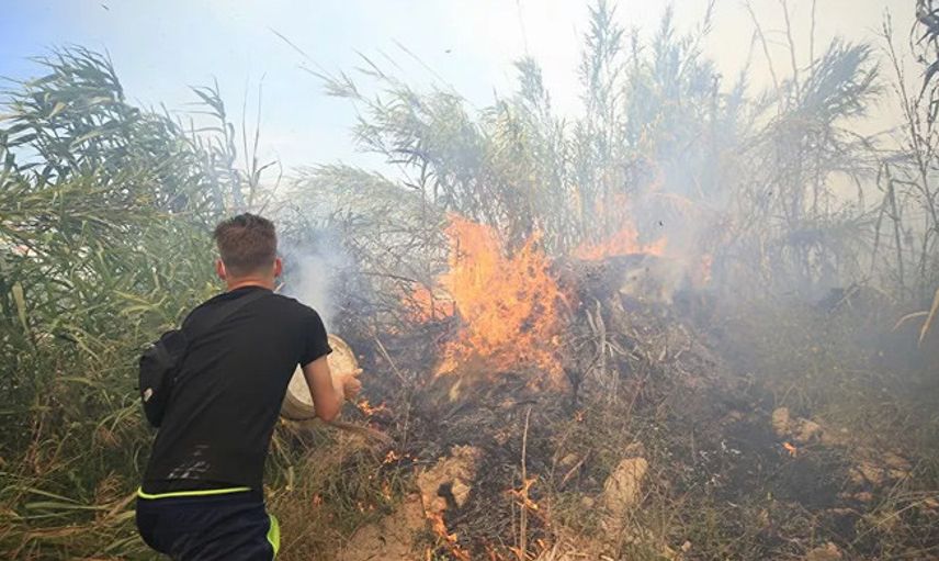 Antalya'da Meydana Gelen Orman Yangınlarında 80 Dekarlık Alan Küle Döndü