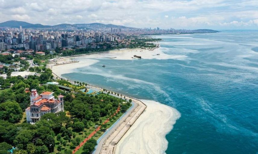 Korkutan Görüntü Caddebostan'dan Geldi! Müsilaj Arttı