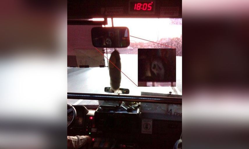 Bu fotoğraflar sahiplerini rezil ediyor!