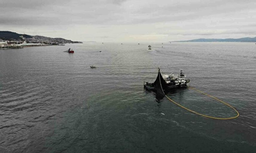 Böyle Bir Av Görülmedi! 40 Balıkçı Teknesi 40 Ton Hamsi Yakaladı