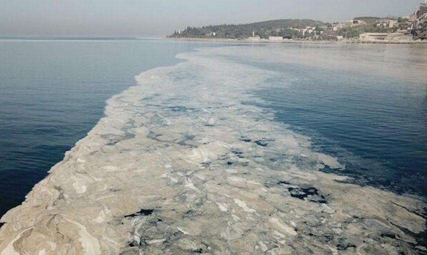 İzmit Körfezi Deniz Salyası ile Kaplandı