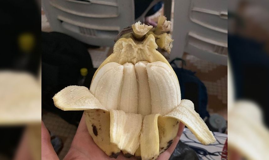 Her şeyi görenleri bile şaşırtacak fotoğraflar