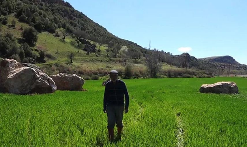 Depremin şiddetiyle kopan kayalar ekili tarım arazilerinin üstüne düştü: İşte o dehşet veren görüntüler