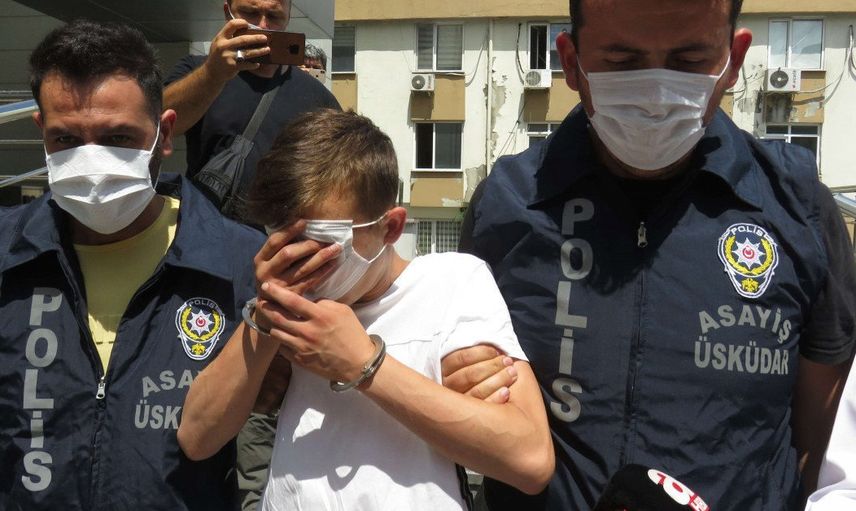 Üsküdar'da Kediyi İşkence Ederek Öldüren Şahıs Tutuklandı