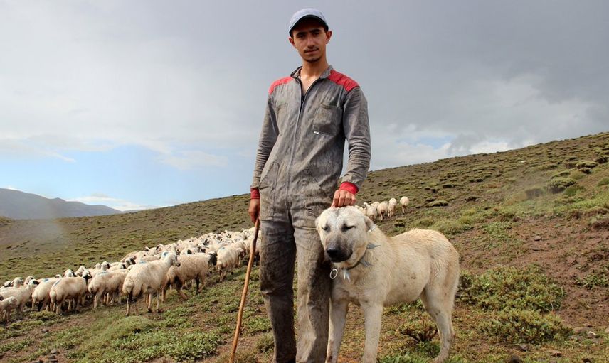 Zor Şartlar Altında Başarılı Olan Öğrenciler