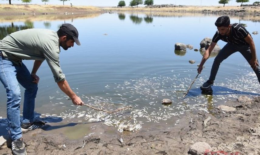 Şanlıurfa'da Korkutan Ölümler: 2 Gün Önce Başladı